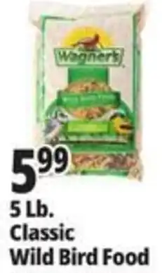 Ocean State Job Lot Wagners classic wild bird food offer