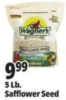 Ocean State Job Lot Wagner's Safflower Seed offer