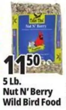 Ocean State Job Lot Nut N' Berry Wild Bird Food offer