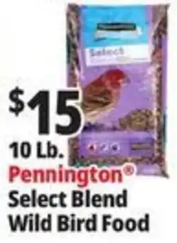 Ocean State Job Lot Pennington Select Blend Wild Bird Food offer