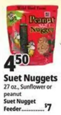 Ocean State Job Lot Wild Bird Food Peanut Suet Nugget offer