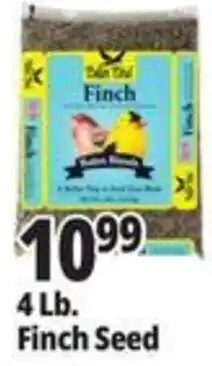Ocean State Job Lot Baldwin Finch Finch Seed offer