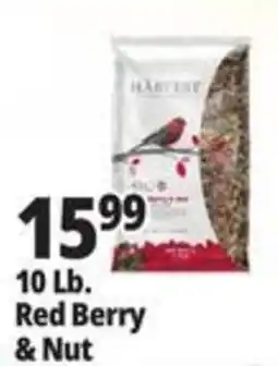 Ocean State Job Lot Harvest Red Berry & Nut offer