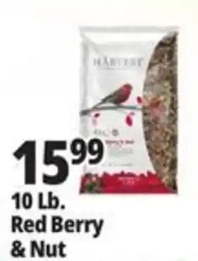 Ocean State Job Lot Harvest Red Berry & Nut offer