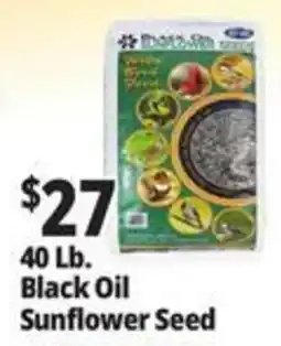 Ocean State Job Lot Black Oil Sunflower Seed offer