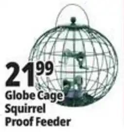 Ocean State Job Lot Globe Cage Squirrel Proof Feeder offer