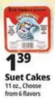 Ocean State Job Lot Best Friends Choice Suet Cakes offer