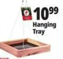 Ocean State Job Lot Hanging Tray offer