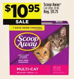 Dollar General Scoop Away Cat Litter offer