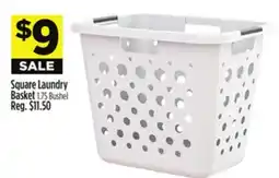 Dollar General Square Laundry Basket offer