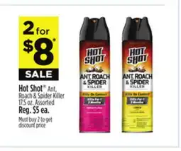Dollar General Hot Shot Ant, Roach & Spider Killer offer