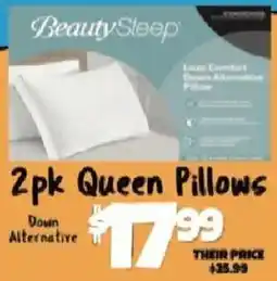 Big Lots Beauty Sleep down alternative queen pillows offer