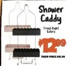 Big Lots Shower Caddy offer
