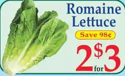 Market Basket Romaine Lettuce offer
