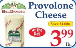 Market Basket BelGioioso Provolone Cheese offer