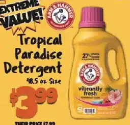 Big Lots Arm & Hammer Tropical Paradise Detergent offer