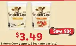 Market Basket Brown Cow yogurt offer