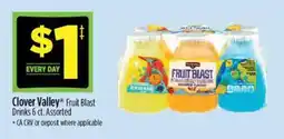 Dollar General Clover Valley Fruit Blast Drinks offer