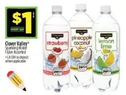 Dollar General Clover Valley sparkling water 1 liter assorted offer