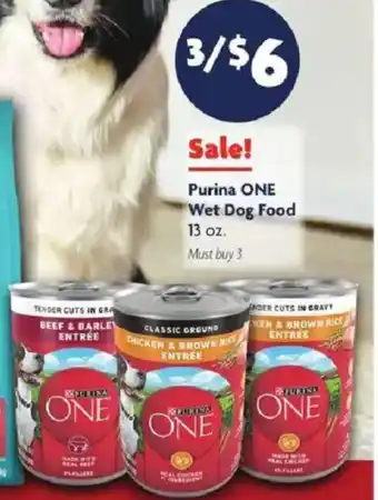 Family Dollar Purina One Wet Dog Food offer