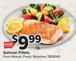 Giant Food Salmon Fillets offer