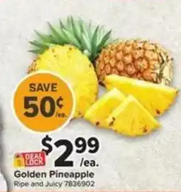 Giant Food Golden Pineapple offer