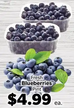 Living Fresh Market Fresh Blueberries offer