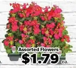 Living Fresh Market Assorted Flowers offer