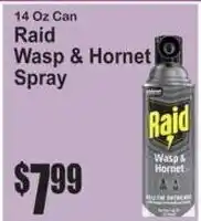 SuperFresh Raid Wasp & Hornet Spray offer