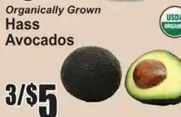SuperFresh Organically Grown Hass Avocados offer