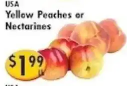 Ideal Food Basket Yellow Peaches or Nectarines offer
