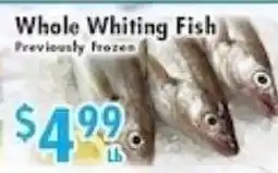 Ideal Food Basket Whale Whiting Fish offer
