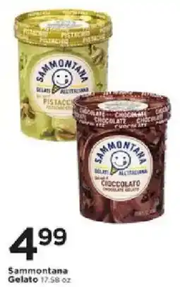 Cub Foods Sammontana Gelato offer