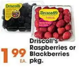 Village Market Food Centers Driscoll's Raspberries or Blackberries offer