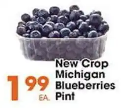 Village Market Food Centers New Crop Michigan Blueberries offer