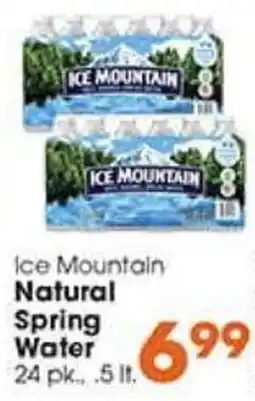 Village Market Food Centers Ice Mountain Natural Spring Water offer