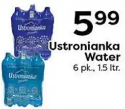 Rich's Fresh Market Ustronianka Water offer