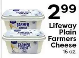 Rich's Fresh Market Lifeway Plain Farmers Cheese offer
