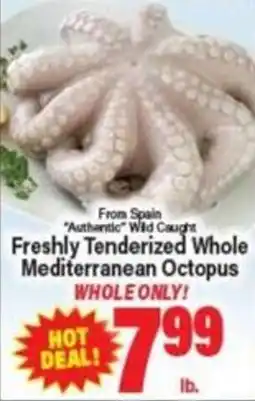 Angelo Caputo's Fresh Market Freshly Tenderized Whole Mediterranean Octopus offer