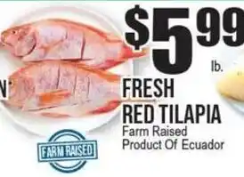 Extra Supermarket Fresh Red Tilapia offer