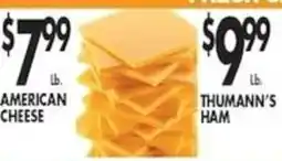 Pioneer Supermarkets American Cheese offer