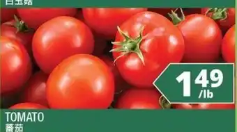 Tomato