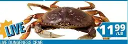 99 Ranch Live Dungeness Crab offer