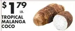 Pioneer Supermarkets Tropical Malanga Coco offer