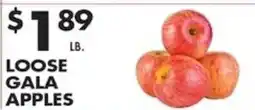 Pioneer Supermarkets Loose Gala Apples offer