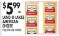 Pioneer Supermarkets Land O Lakes American Cheese offer