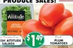 Pioneer Supermarkets Attitude Fresh Attitude Salads offer