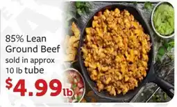 Fareway 85% Lean Ground Beef offer
