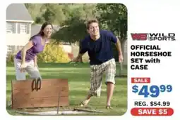 Big 5 Wild Sports Official Horseshoe Set with Case offer
