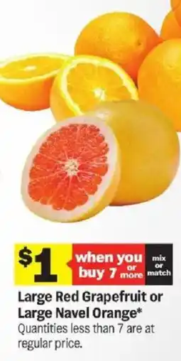 Meijer Large Red Grapefruit or Large Navel Orange offer